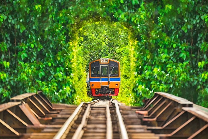 A train in Thailand traveling through a lush tunnel.
