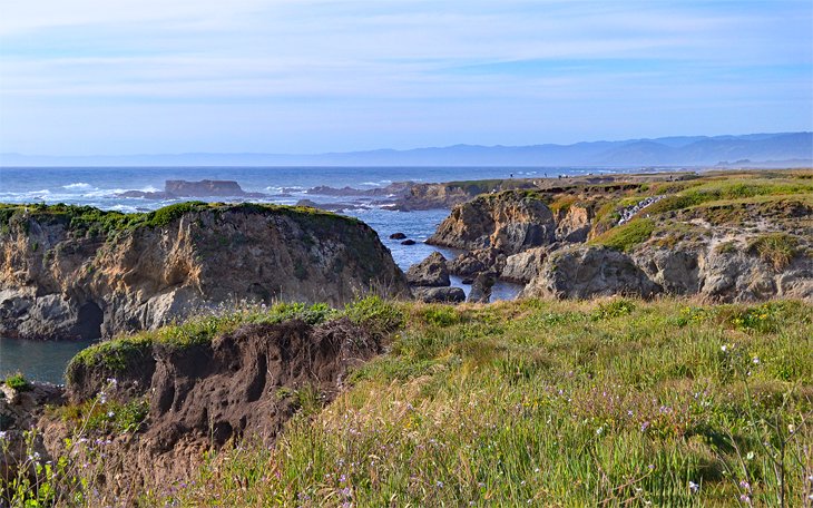 View along the Fort Bragg Coastal Trail