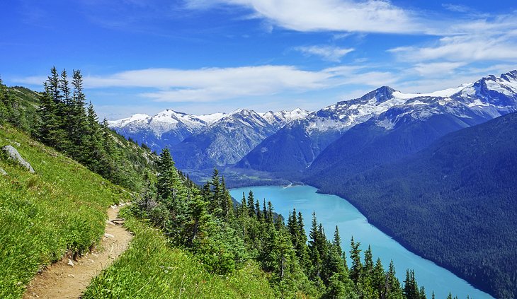 View of Cheakamus Lake from the High Note Trail