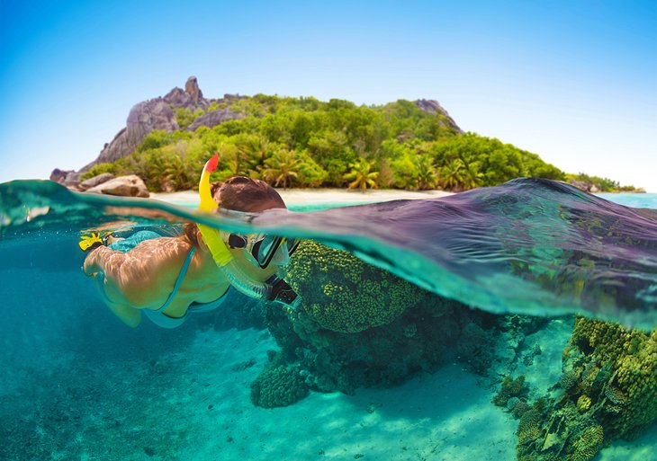 A woman snorkeling in the Seychelles