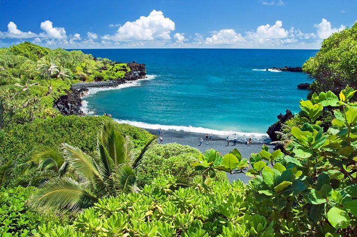 A lush tropical beach on Maui
