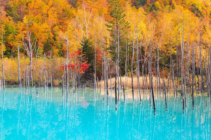 Blue Pond in Hokkaido with fall colors