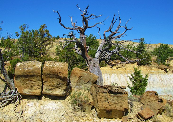 Formations in Terry Badlands Wilderness Study Area 