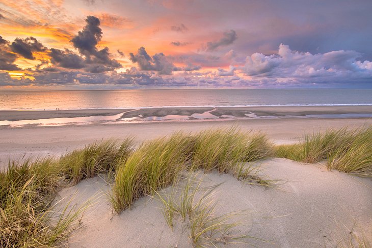 Sand dunes at sunset in Zeeland