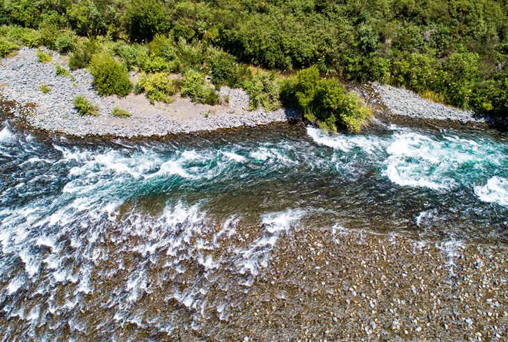 Tongariro River