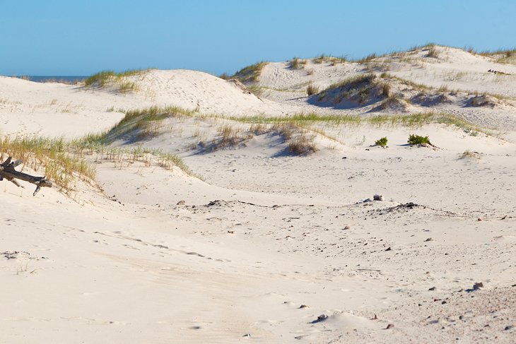 Sand dunes at El Pinar Beach