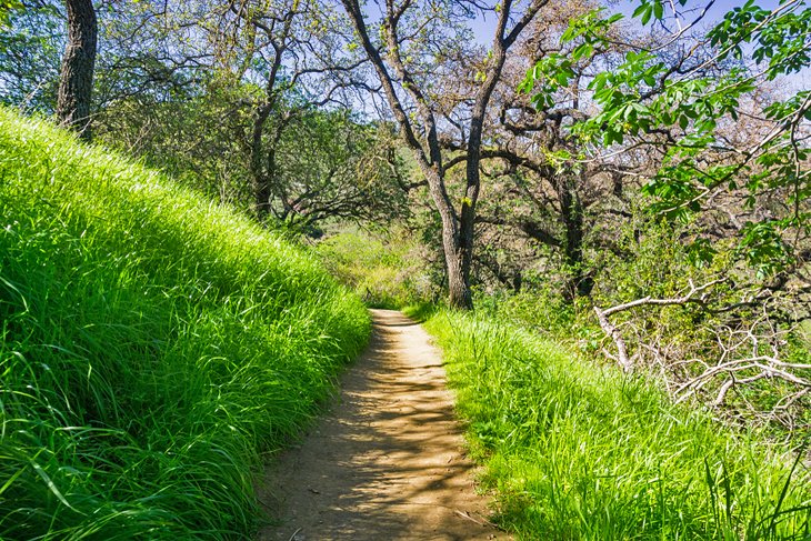Hiking trail at Santa Teresa County Park