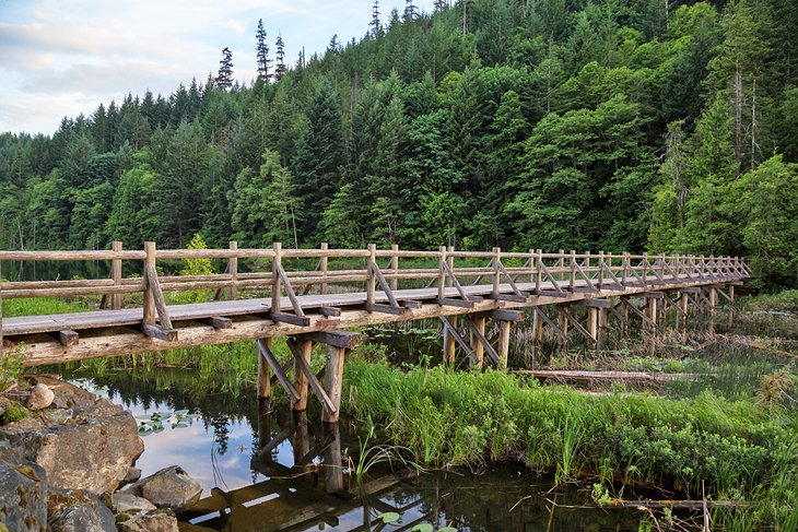 Wooden bridge at Brohm Lake