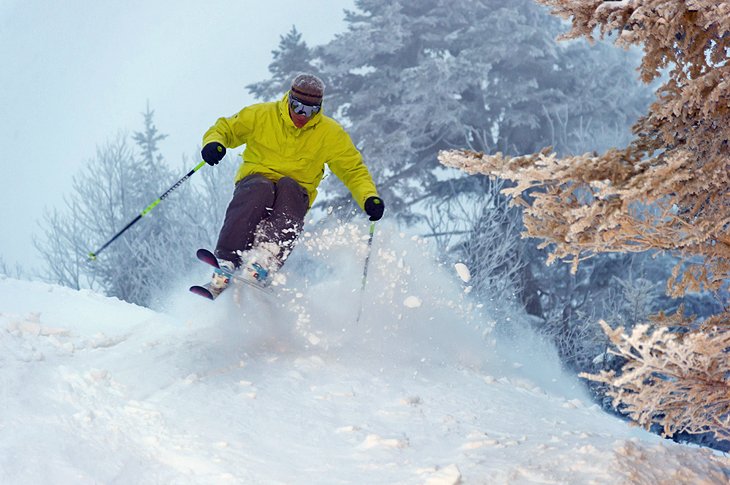 An expert skier in East Coast powder