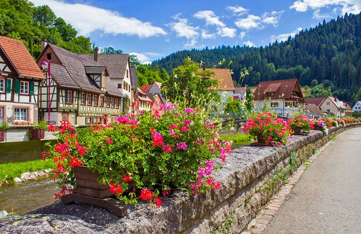 Flowers in the picturesque village of Schiltach