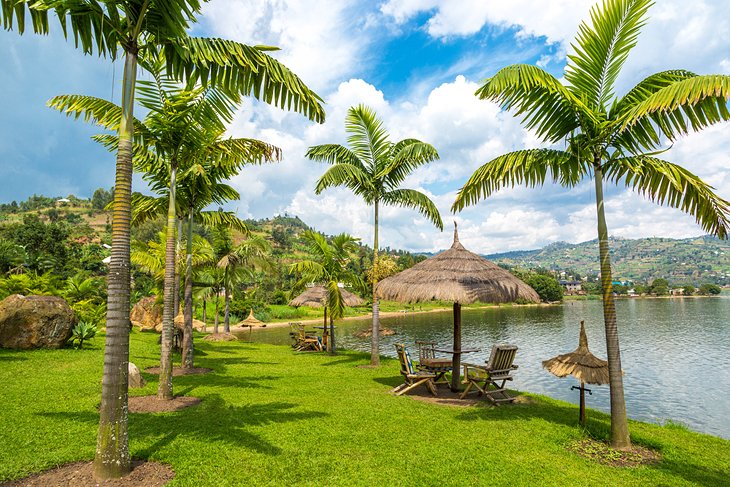 Palm-lined shores of Lake Kivu
