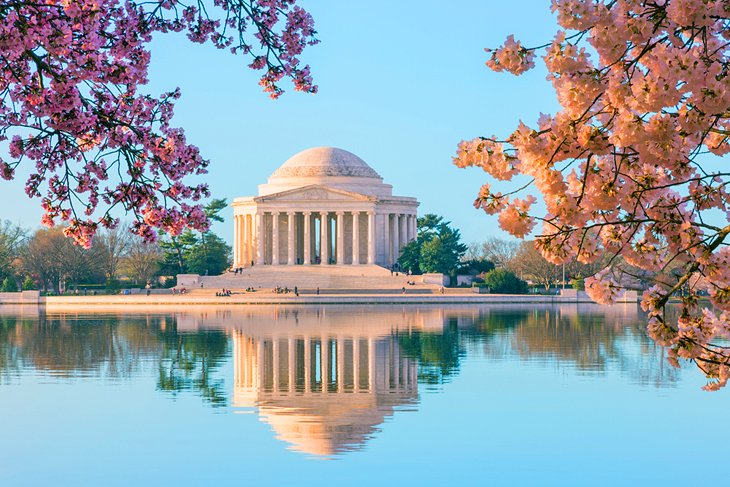 Cherry blossoms and the Thomas Jefferson Memorial in Washington, D.C.