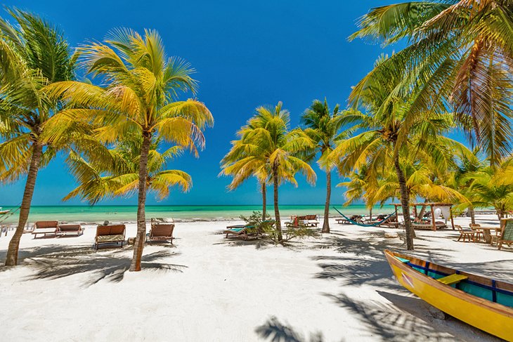 Palm-lined beach on Isla Holbox