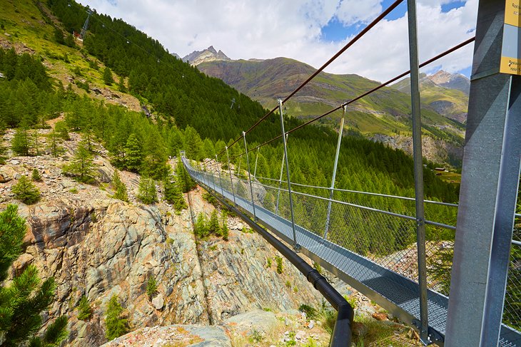 Footbridge above the ravine at Dossen Glacier Garden