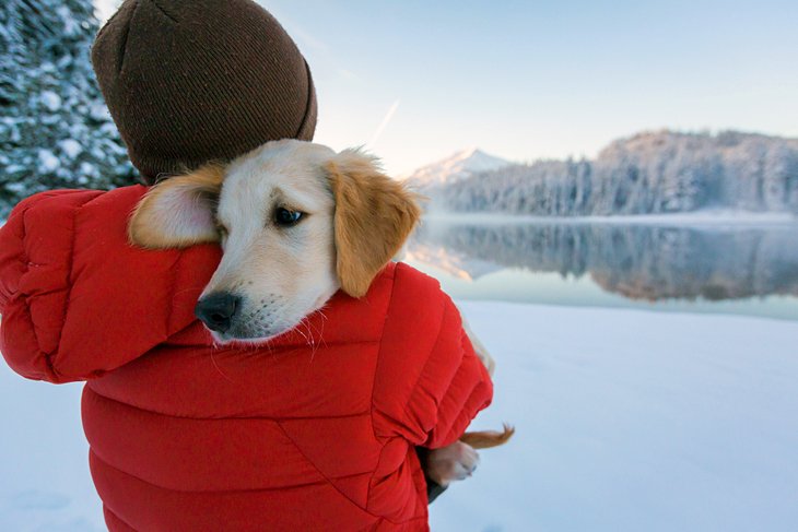 Puppy getting a winter cuddle in Bend, Oregon