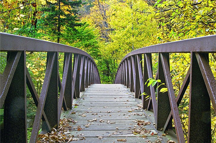 Bridge on the Long Trail