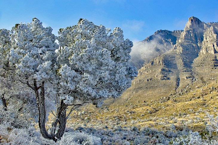 A light dusting of snow in Guadalupe Mountains National Park