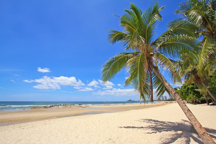 Coconut palms on the beach at Hua Hin