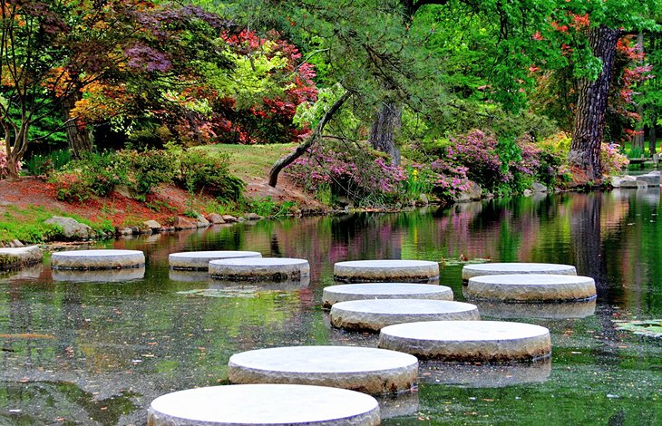 The Japanese Garden at Maymont Park