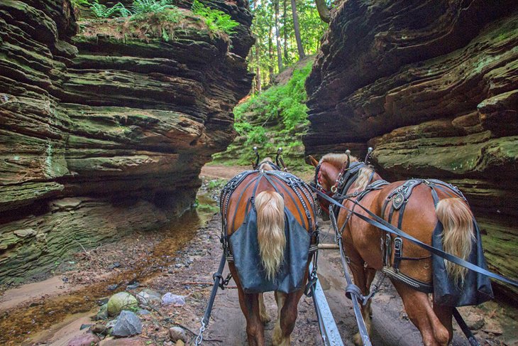 Horses in Lost Canyon