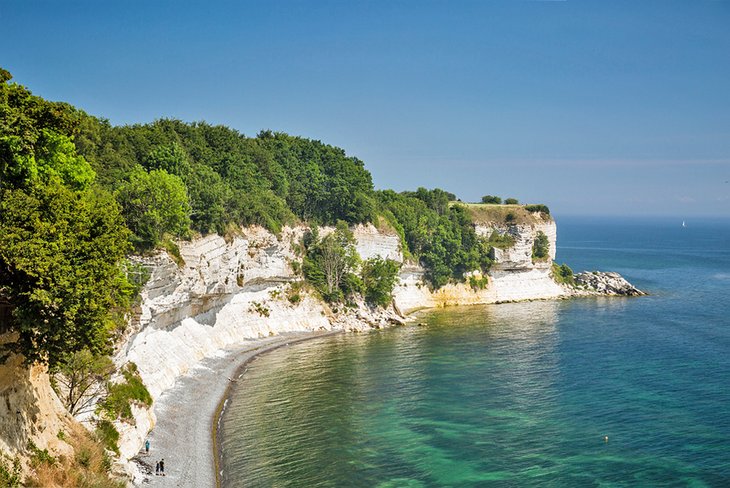 White cliffs of Stevns Klint