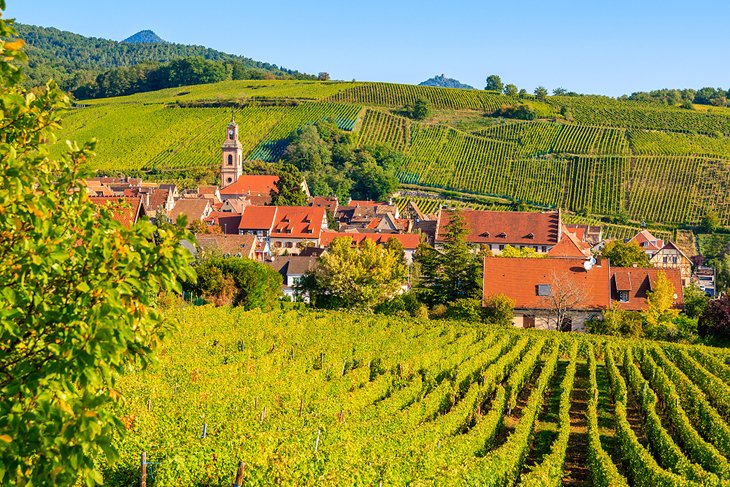 Village of Riquewihr surrounded by the Alsatian Countryside