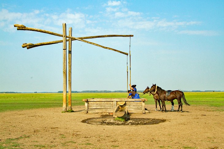 Traditional Hungarian horseman at a well in Hungary's Great Plain
