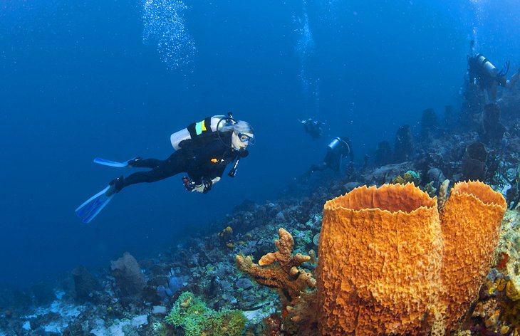 Diver and orange sponge off St. Lucia