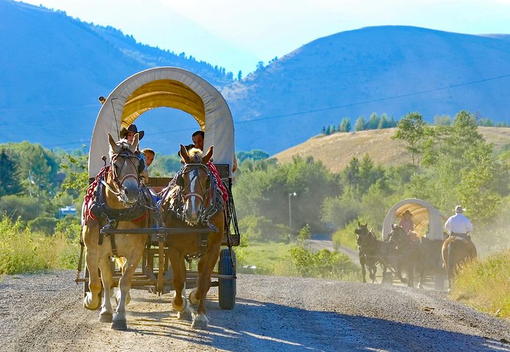 Chuck wagons in Cache Creek