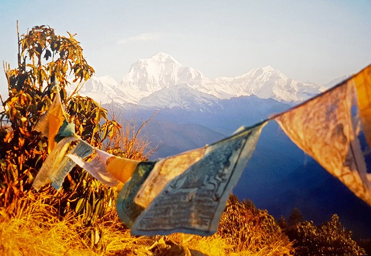 Early morning at Poon Hill, Annapurna Region