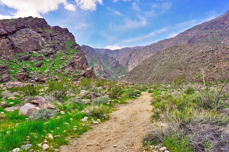 Tahquitz Canyon Trail