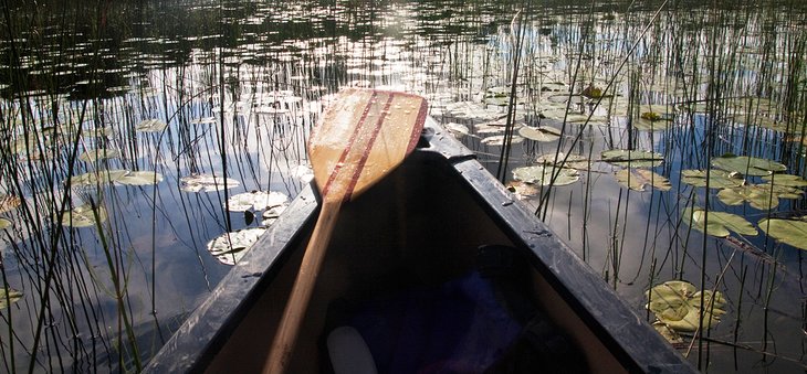 Canoe near Sioux Narrows