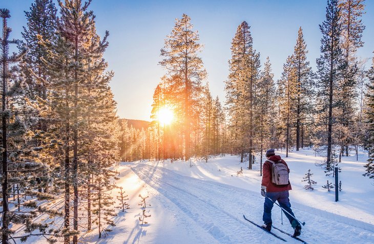 Cross-country skiing in Lapland