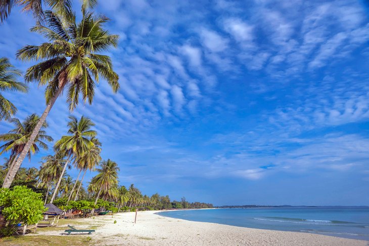 Palm-lined Trikora Beach
