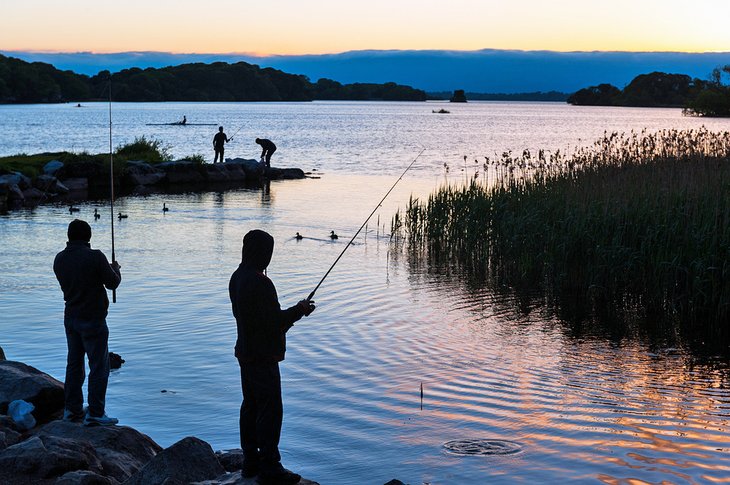 Fishing at sunset in a lake near Killarney National Park