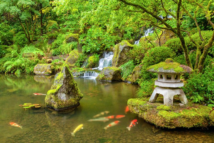Portland Japanese Garden in Washington Park
