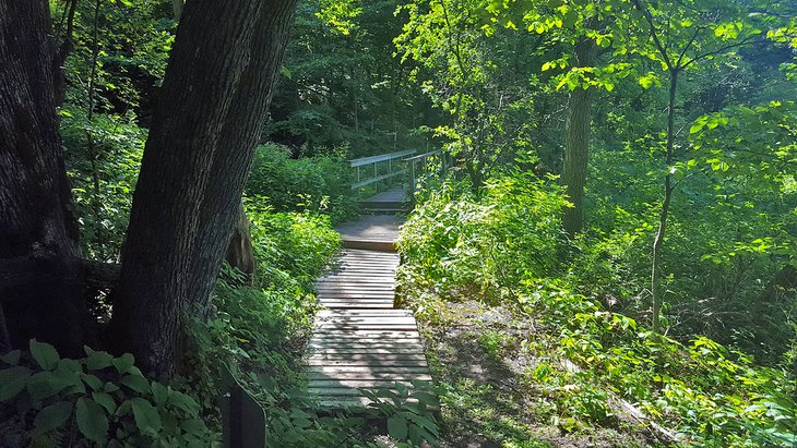 Pathway at Sica Hollow State Park