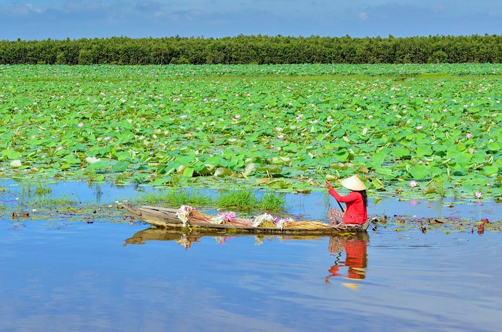 Woman paddling along the Mekong Delta