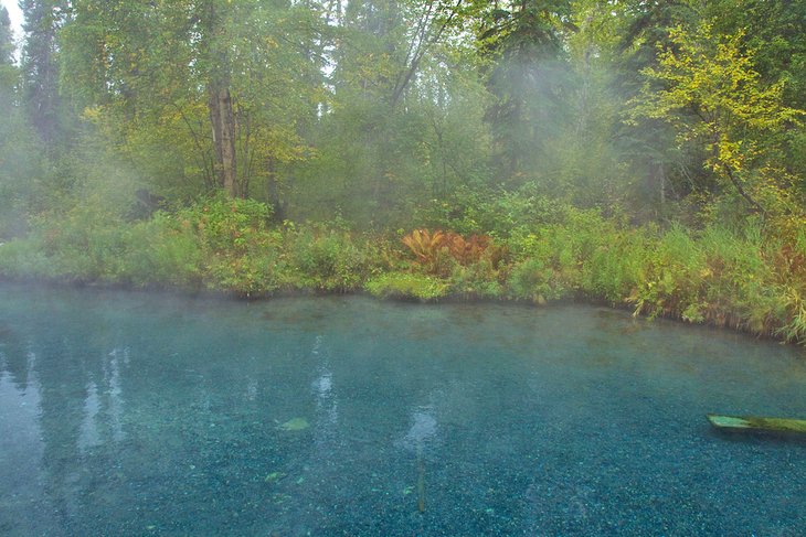 Steam rising from a pool at Liard River Hot Springs