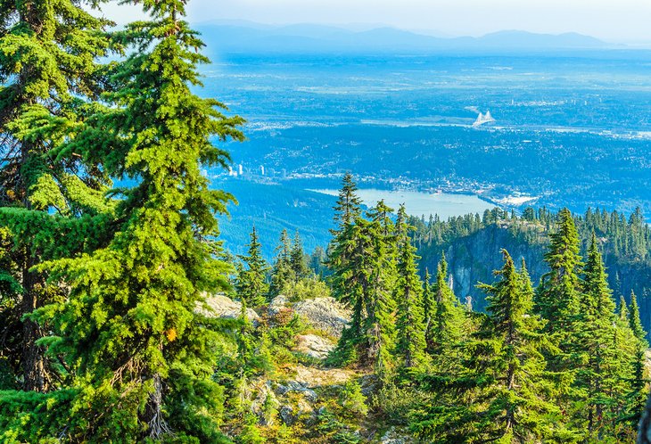 View from Mount Seymour Provincial Park