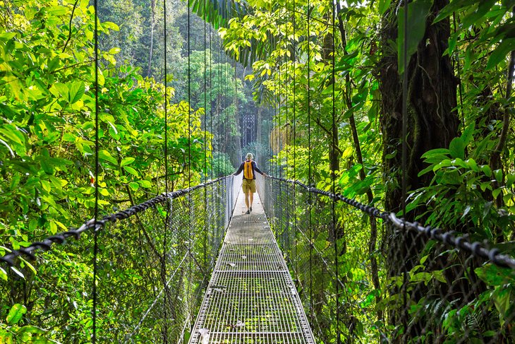 Hiking in the Costa Rican jungle