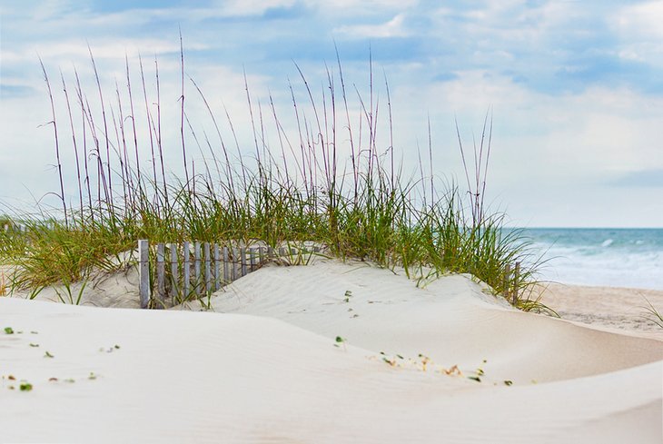 Sand dunes on the beach at Emerald Isle