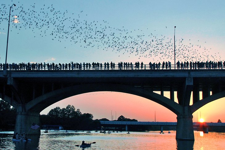 Watching the bats on Congress Avenue Bridge