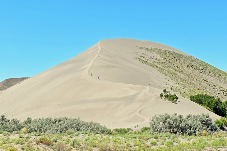 The Dunes Hiking Trail