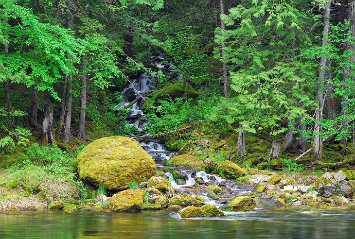 Small stream feeds the Lochsa River in Idaho