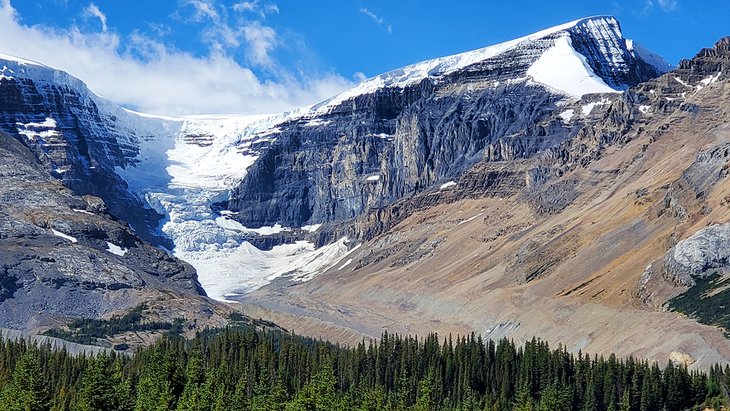 View of glacier from Icefield Tent Campground