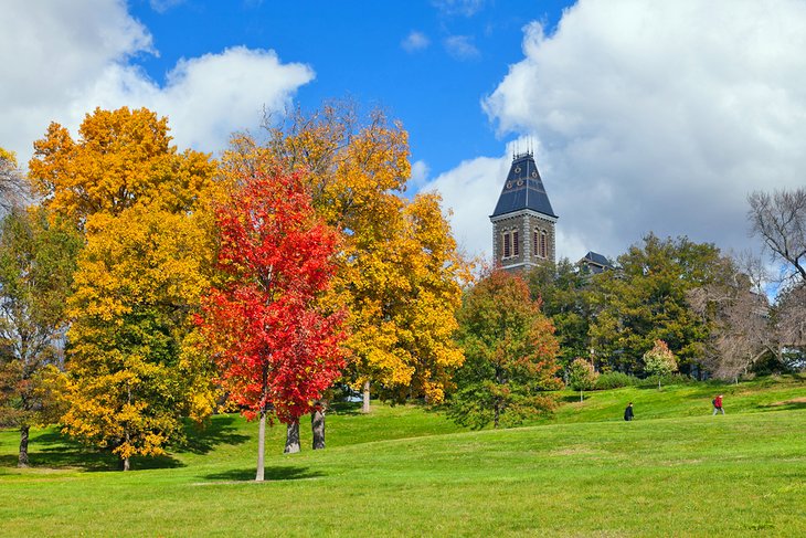Fall colors at Cornell University in Ithaca