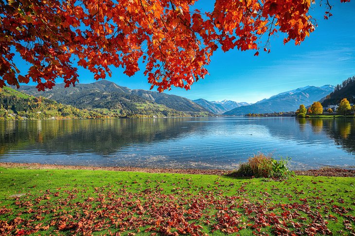 Fall colors along the shore of Zellersee
