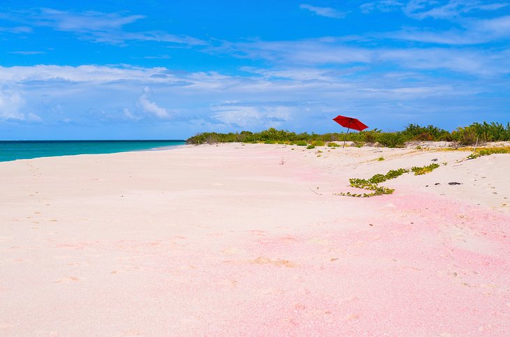Pink Beach on Barbuda