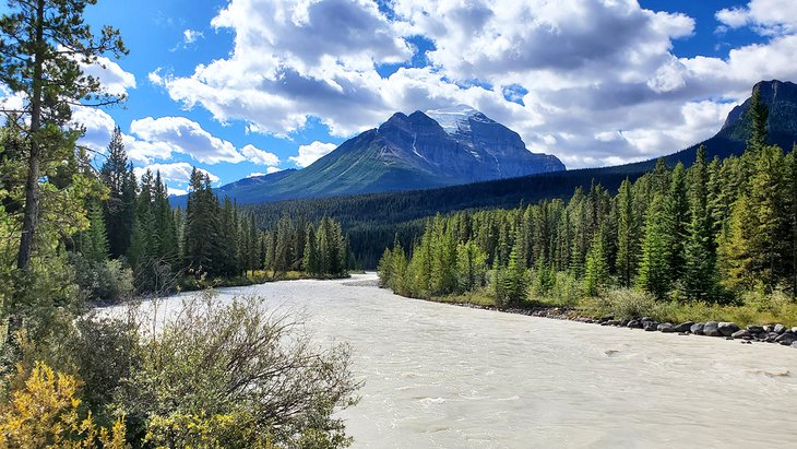 Bow River in Lake Louise Campground